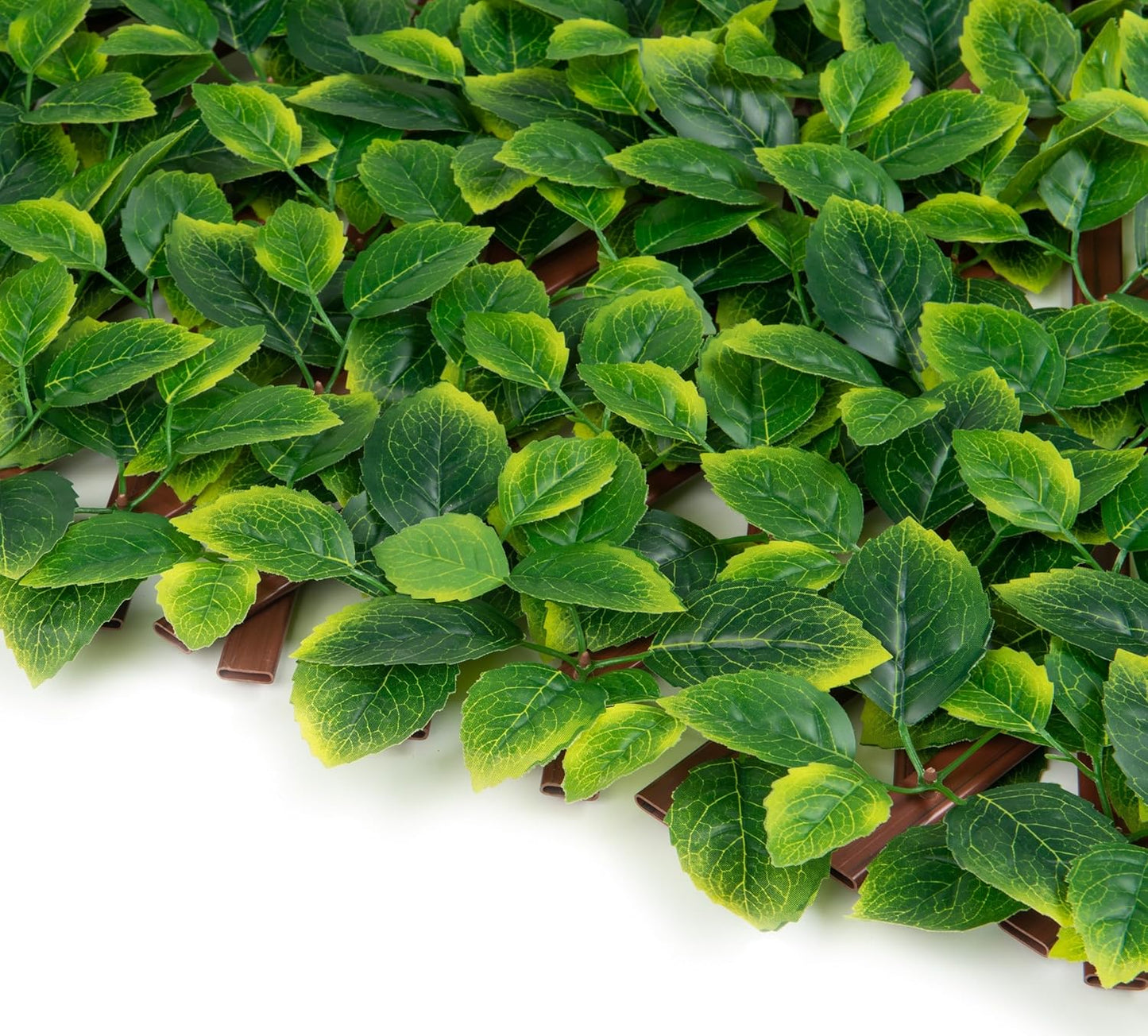 Naturae Decor PVC Expandable Trellis - Outdoor Privacy Screen - Sturdy and Flexible - Realistic Look - 36 in x 72 in - Mint Leaves