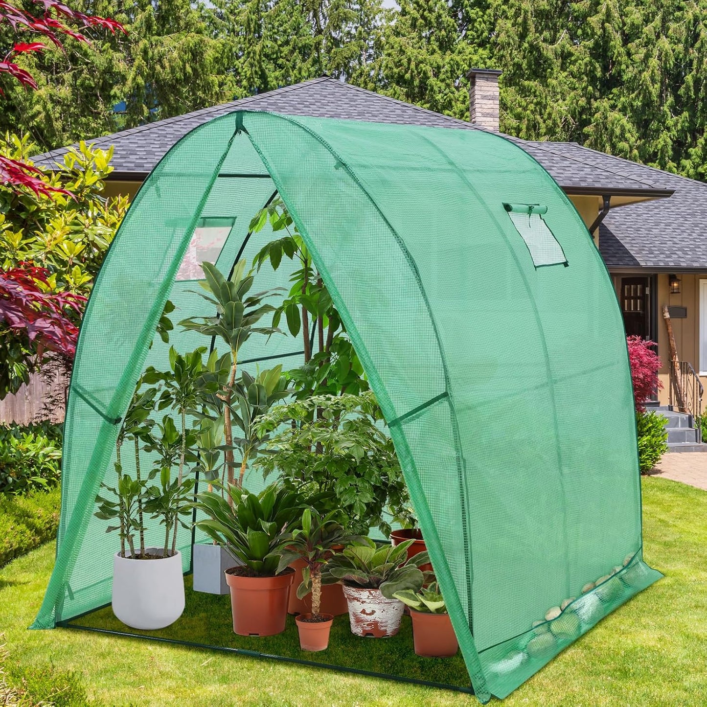 EAGLE PEAK Tunnel Greenhouse Garden Green House with Zippered Door and 2 Roll-up Side Windows, 70.9"x70.9"x78.7", Clear/Green