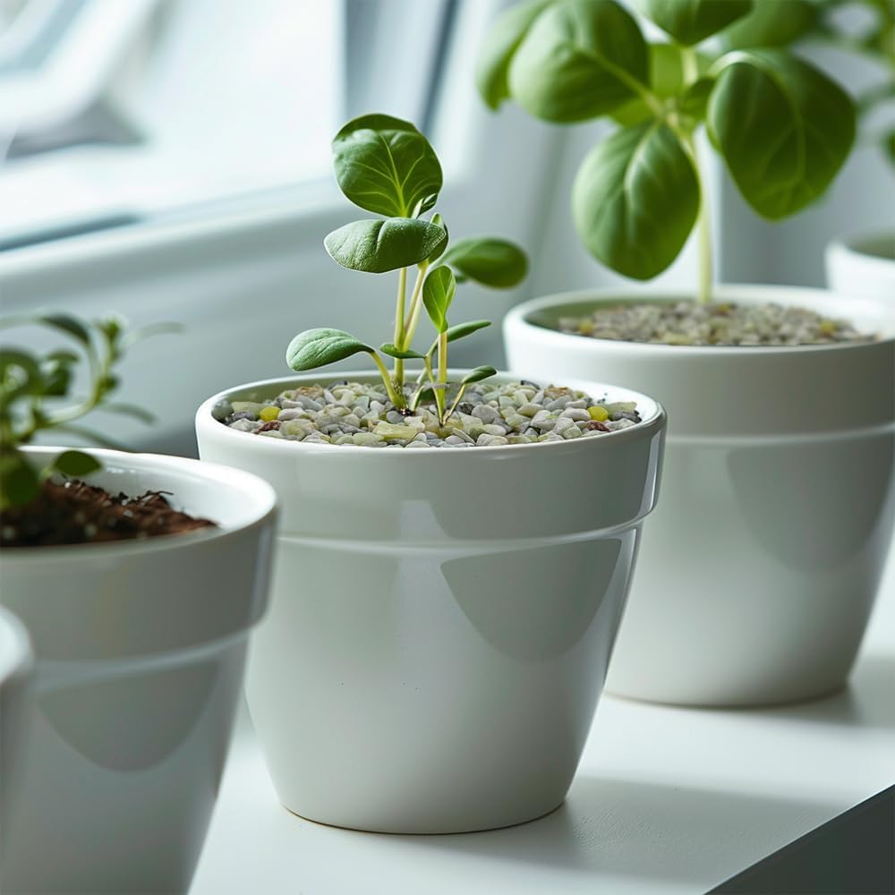 HappyFiller 18 Pound Small Rocks Decorative Tiny Pea Gravels for Aquarium Fish Tank Rocks,Indoor Outdoor Plants Catcus Succulent Top Dressing,Zen Garden,Vase Fillers,Light Green Mix,0.31-0.47"