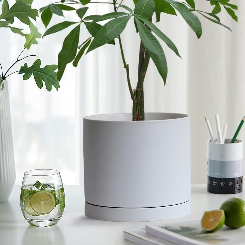 2 Pack Ceramic Plant Saucer Pot Tray 6 Inch, Planter Saucers 4 5 6 7 8 9 10 11 12 13 Inch for Indoors Outdoor, Durable Sturdy Flower Drainage drip Water Tray for Glazed Pots Base (6.4 Inch-White)