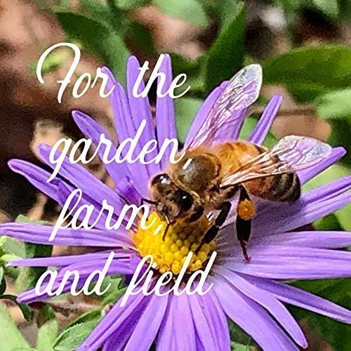 Pacific Northwest Wildflower Seeds - 1 Lb ~640,000 + Non-GMO Seed - 25 Varieties Including Poppy, Larkspur, Daisy & More - Pollinator Mix for Planting Outdoors