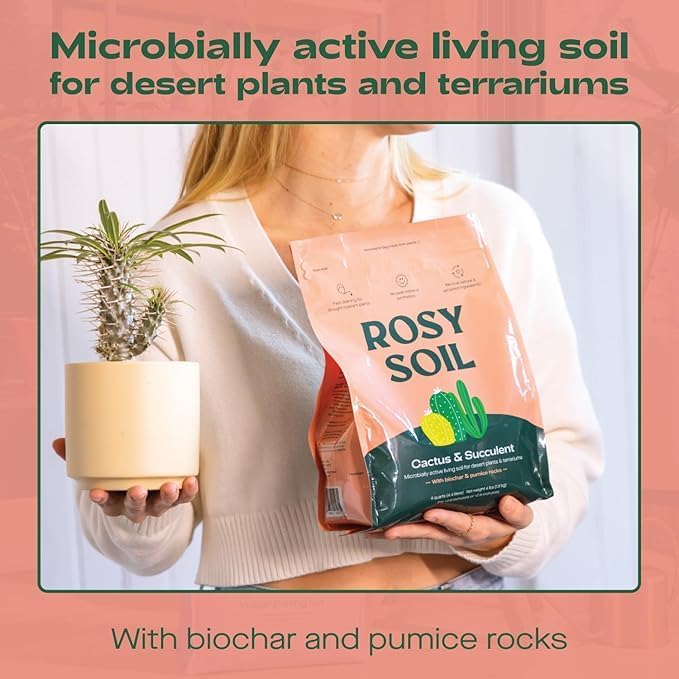 Rosy Soil Cactus and Succulent Potting Soil Mix (4 qts) + Indoor Potting Soil (8 qts) - Peat Free House Plant Soil - Potting Soil Mix for Indoor Plants