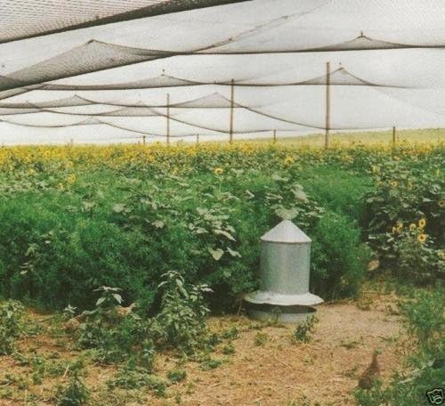 Poultry Netting 1" or 2" Mesh Heavy Knotted Nets Aviary Gamefowl Quail Chicken Bird Block Net Long Lasting Break/Burst 85/245 lb Polyethylene 8-10 Year Lifespan (50' X 100', 2)