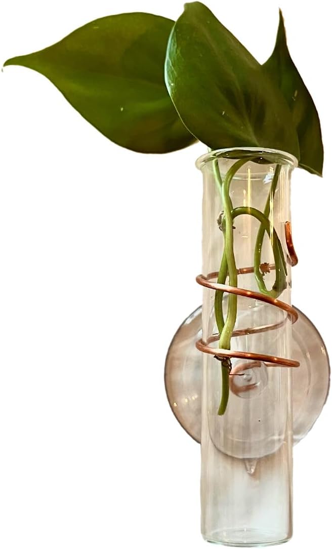 The Little Window Propagator- Window Plant Propagation Station with Removable Glass Test Tubes, Indoor Clippings, Cut Flowers, Herbs, Succulents | Home Decor | Plant Lover Gift