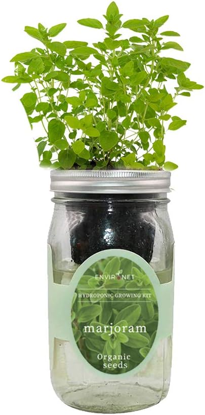Hydroponic Herb Growing Kit, Self-Watering Mason Jar Herb Garden Starter Kit Indoor, Windowsill Herb Garden, Grow Your Own Herbs from Organic Seeds (Marjoram)