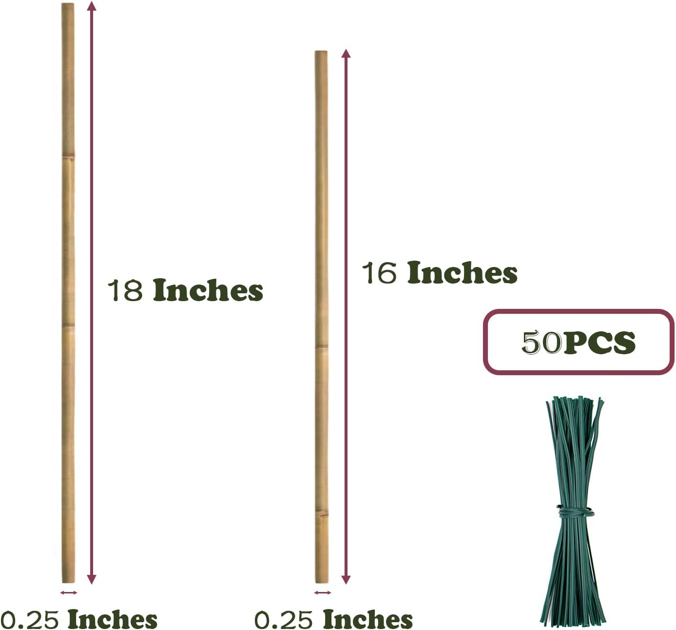 50PCS Plant Stakes,16 Inch Natural Bamboo Stakes,Garden Stakes for Indoor and Outdoor Plants,Poles Sticks for Tomatoes,Beans,Flowers,Trees Potted and Climbing Plants