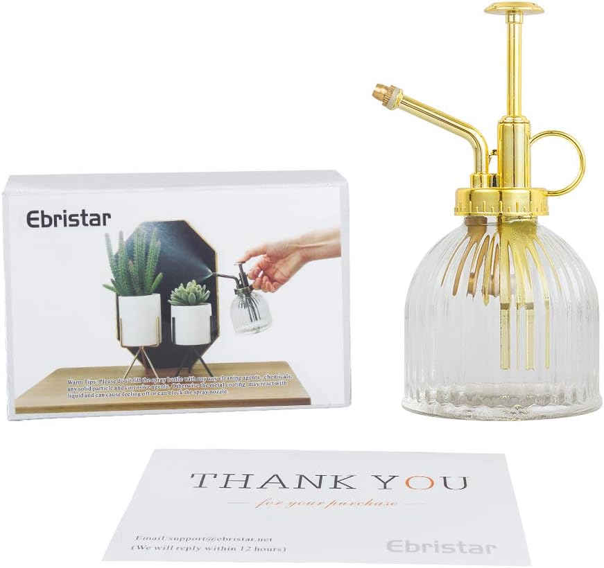 Glass Plant Mister Spray Bottle, Vintage Plant Water Spritzer, Succulent Watering Bottle with Gold Top Pump, Decorative Glass Sprayer Mister Small Watering Can for Indoor Houseplant - Clear