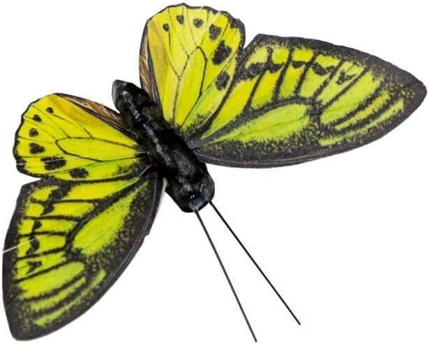 Berfutall- Feather Butterfly Decorations Set of 6 Vibrant Multi Colored Craft Butterflies on Clip .Party Spring Home Decor Floral Pics.St.Patrick'sDay