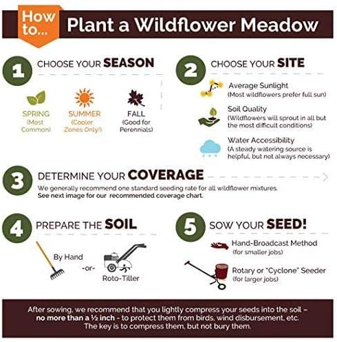 Non GMO Bulk Annual Gaillardia Blanket Flower Seed -Gaillardia pulchella (25 Lbs)