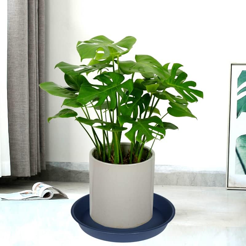 2 Pack of 14 inch Plant Saucers Bird Bath Bow Round, Plastic Plant Saucer Tray for Pots, White Planters for Indoor Plants, Plant Trays for Planter 12-15" (14", Blue)