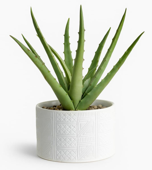 Artificial plant in white ceramic pot | 10" high sage green faux agave plant in white pot | fake plant for desk decor | Artificial agave for home decor indoor | Artificial succulent for shelf decor