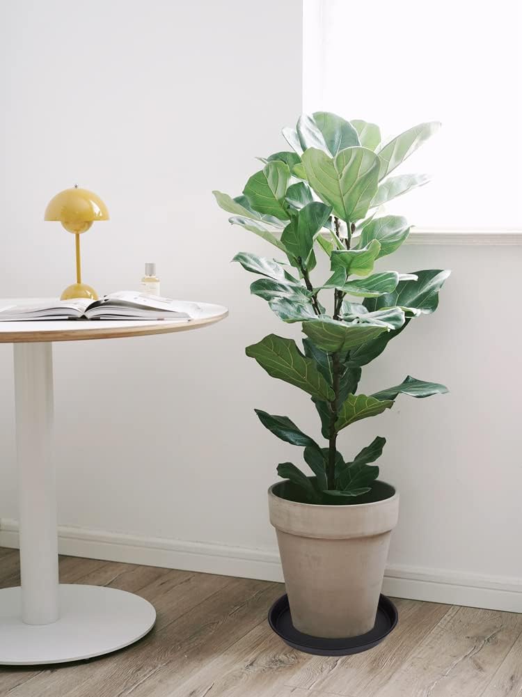 2 Pack of Bird Bath Bowl 12", 1.6" Depth, 10 12 inch Birdbath Bowls Dish Only for The Garden, Large Plant Saucer (12", Black)