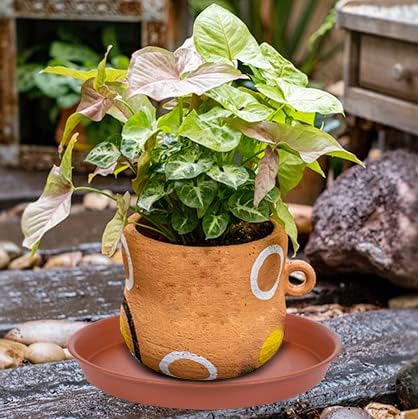 2 Pack of 10 inch Plant Saucer, Bird Bath Bowl 10 inch, Plant Tray for Pots, Plant Saucers for Indoors, Plant Trays for Planter 8"/9"/10" (10 inch, Terracotta)
