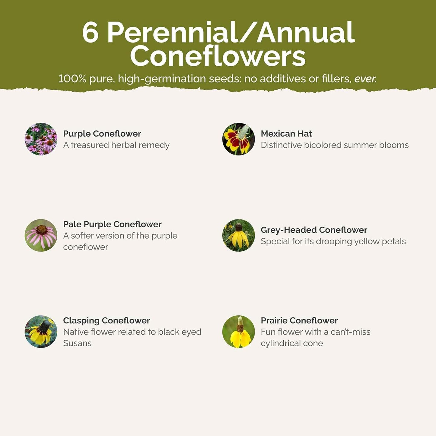 Eden Brothers Conehead Flower Mixed Seeds for Planting, 1 lb, 480,000+ Seeds with Prairie Coneflower, Mexican Hat | Attracts Pollinators, Plant in Spring or Fall, Zones 3, 4, 5, 6, 7, 8, 9, 10