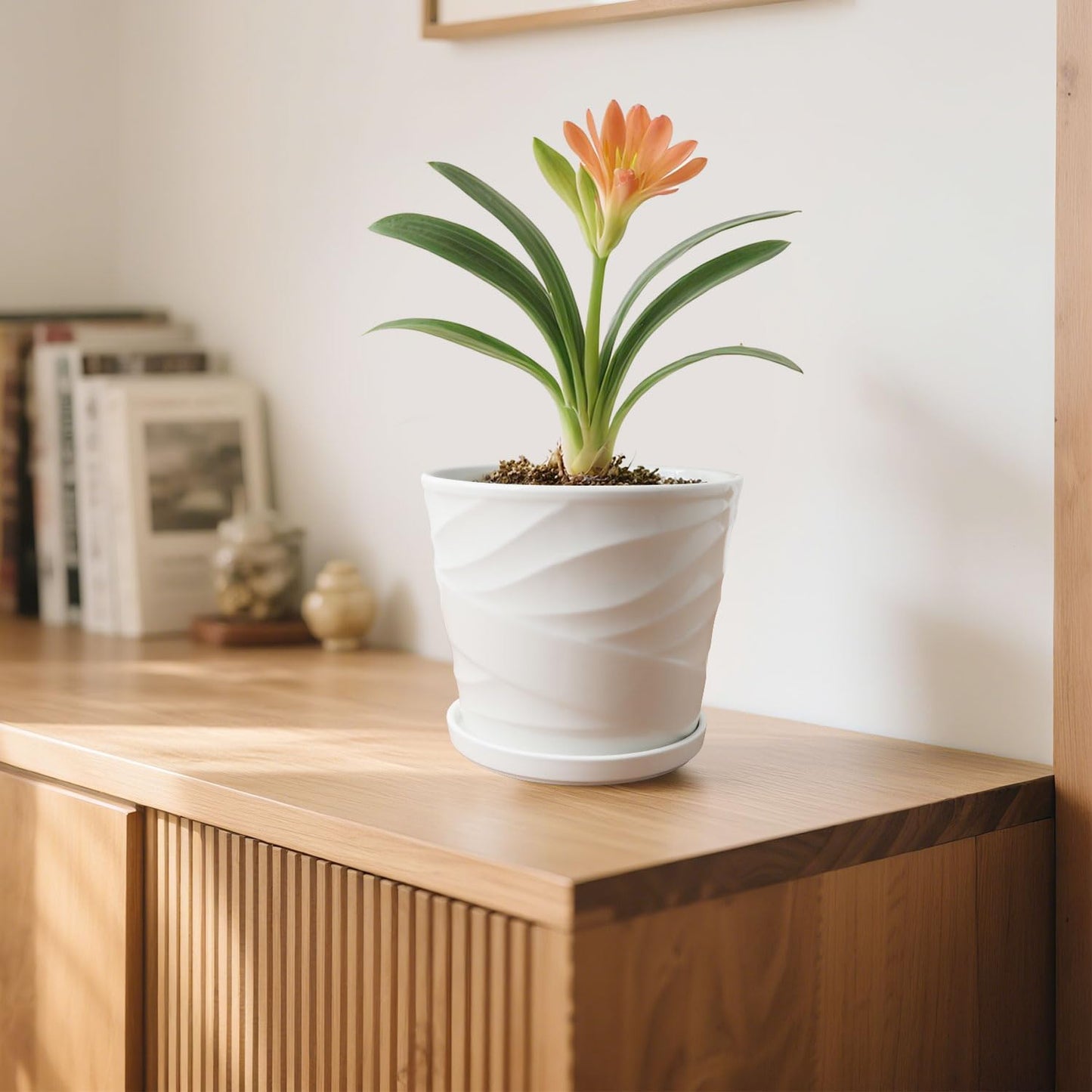 8 Inch Plant Pot, Ceramic Planter with Drainage and Saucer, Ceramic Pots for Plants, Indoor Plant pots,Succulent Orchid Flower Pot(Pure White)