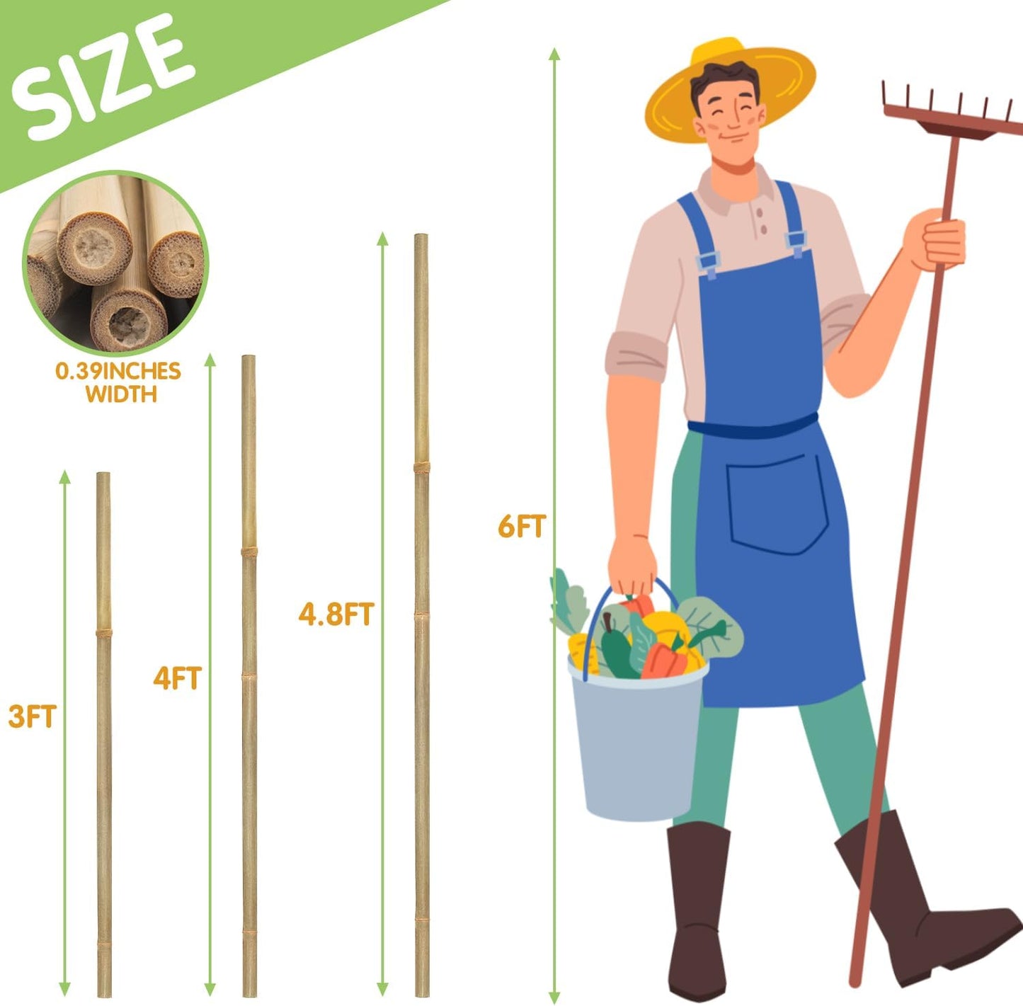 Plant Stakes,4FT Longer Sturdy Natural Bamboo Garden Stakes,GAGINANG 25Pcs Bamboo Sticks Trellis Support for Tomato, Vegetables Beans Trees Climbing Plants