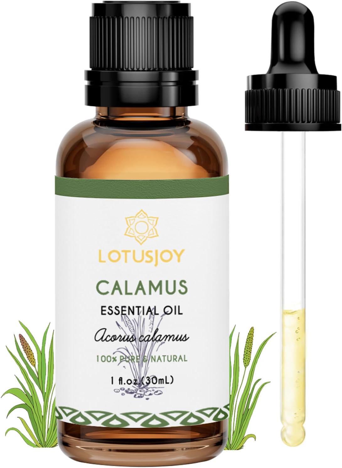 Calamus Essential Oil for Skin Hair Diffuser DIY Anointing Oil- 1 Oz