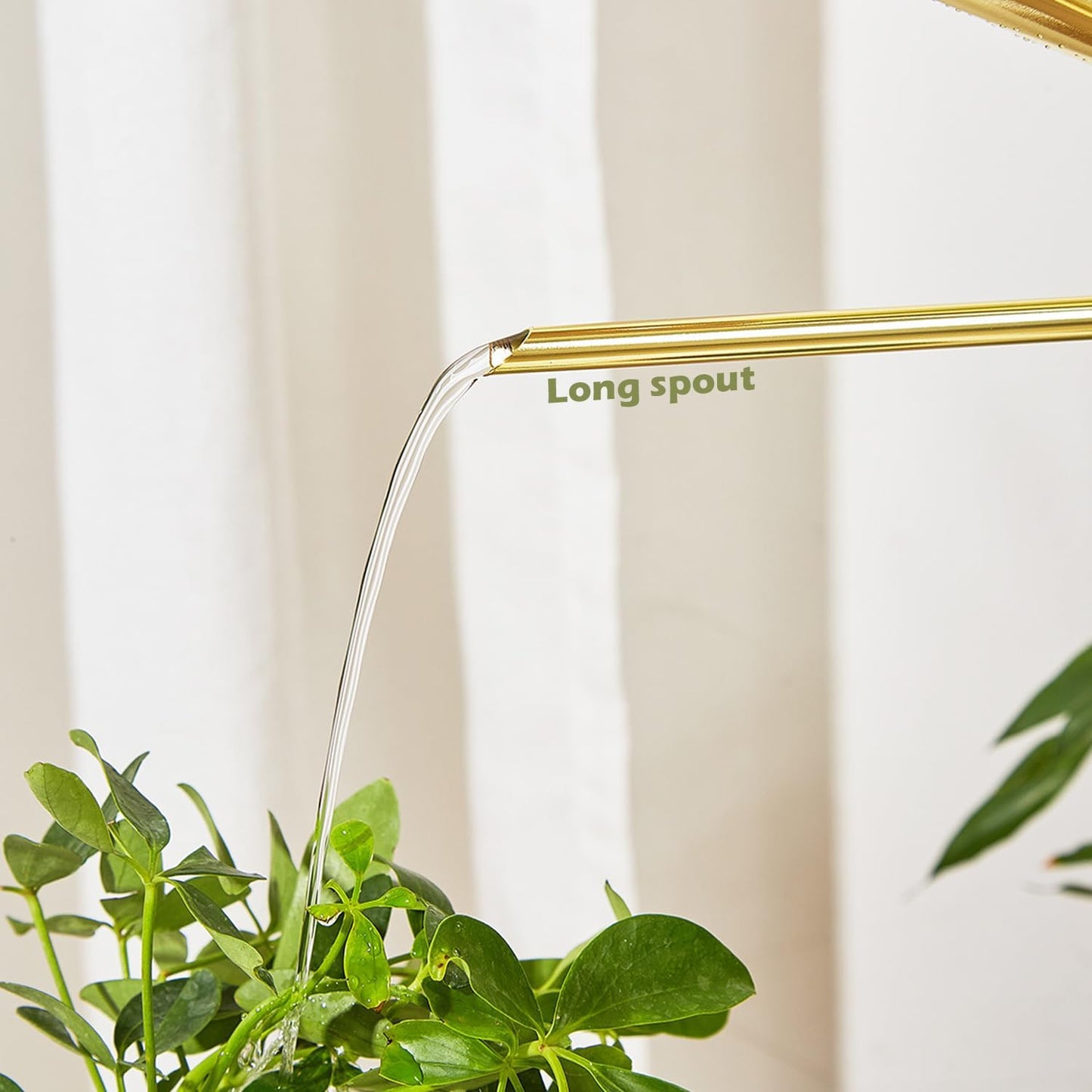 Watering Can for Indoor Plants, 50 oz/1.5L Stainless Steel Watering Can Pot with Long Spout, Garden Watering Cans with Comfortable Handle for Indoor House Plants Bonsai Flower Decorative