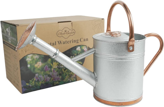 1 Gallon Galvalume Metal Watering Can with Solid Brass Sprout, Handle & Base Trim - Genuine Forged Copper Joints for Indoor/Outdoor Plants, Garden, Balcony for Kids and Adults (Stardust & Vermilion)