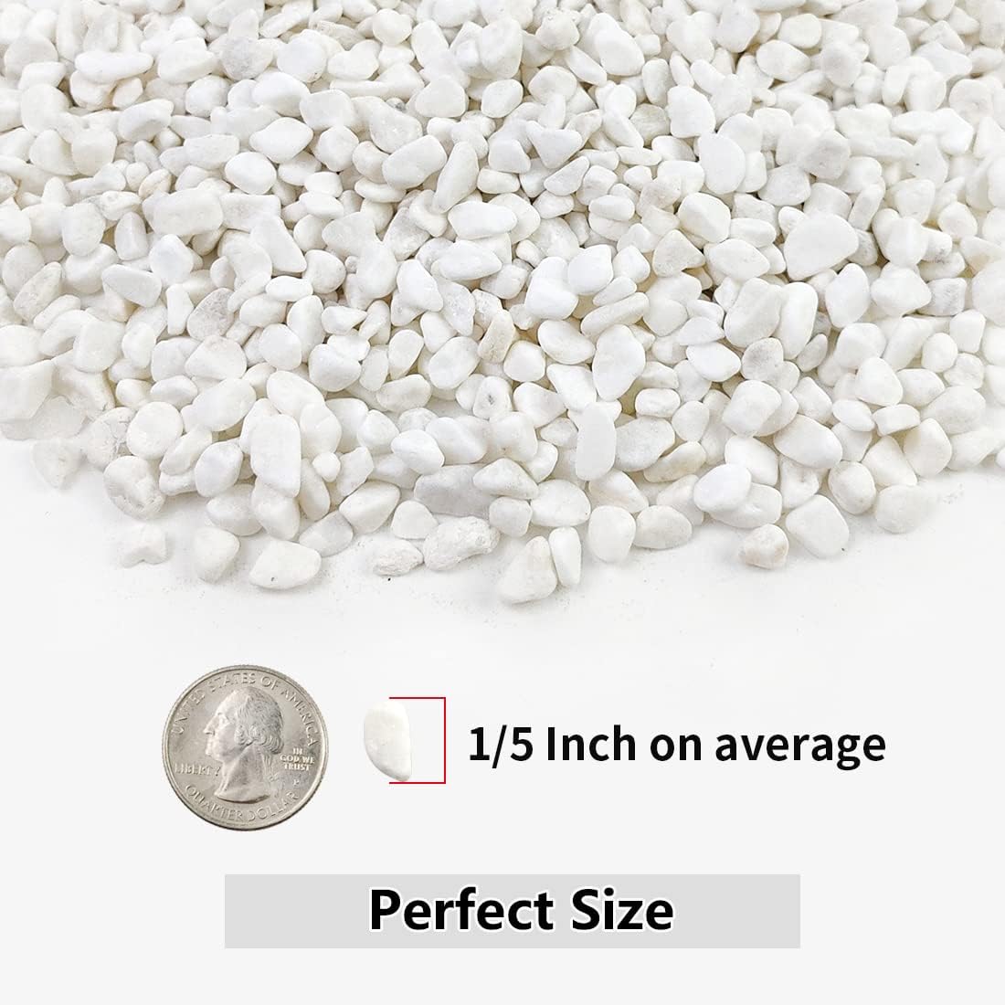 2LB Succulent and Cactus Gravel Pebbles, 1/5 Inch White Natural Decorative Polished Stones, River Rocks for Plants, Vases, Aquariums, Terrarium and Outdoor Gardening,White
