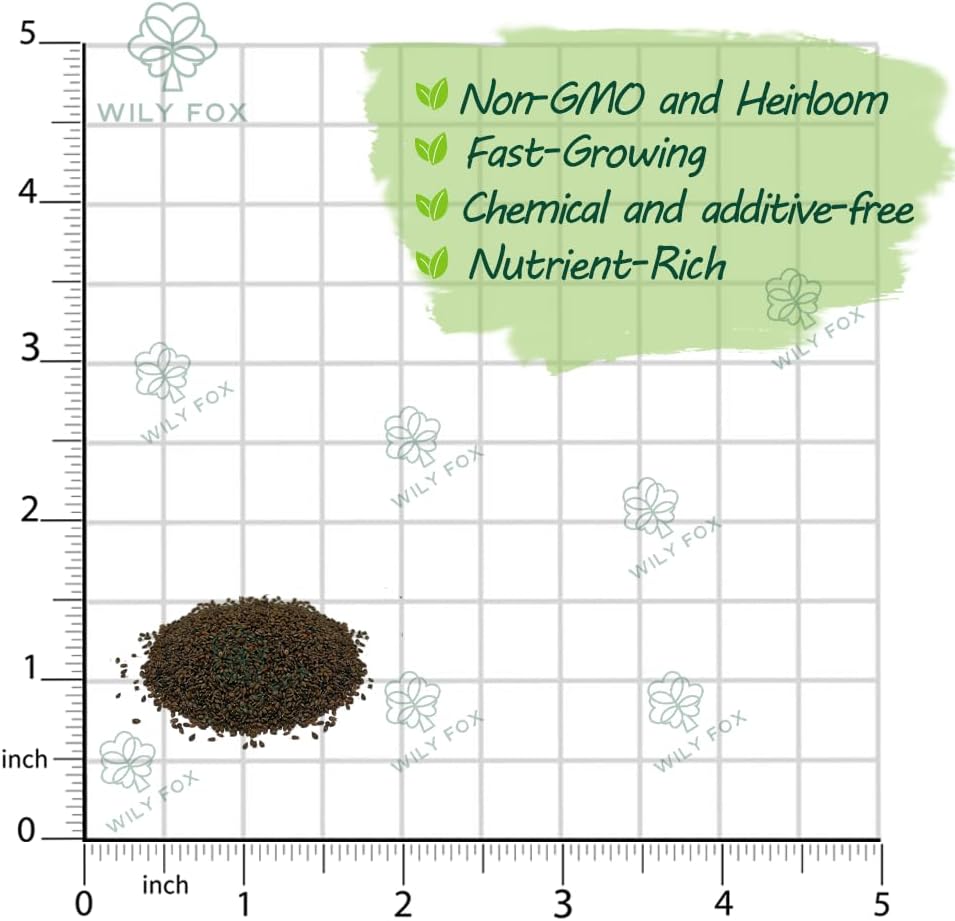 Premium Prunella Vulgaris Seeds - 700+ Non-GMO Self Heal Herb Seeds for Planting - Heirloom Medicinal Herb, Attracts Pollinators - Easy to Grow for Garden, Indoors or Outdoors (Prunella vulgaris)