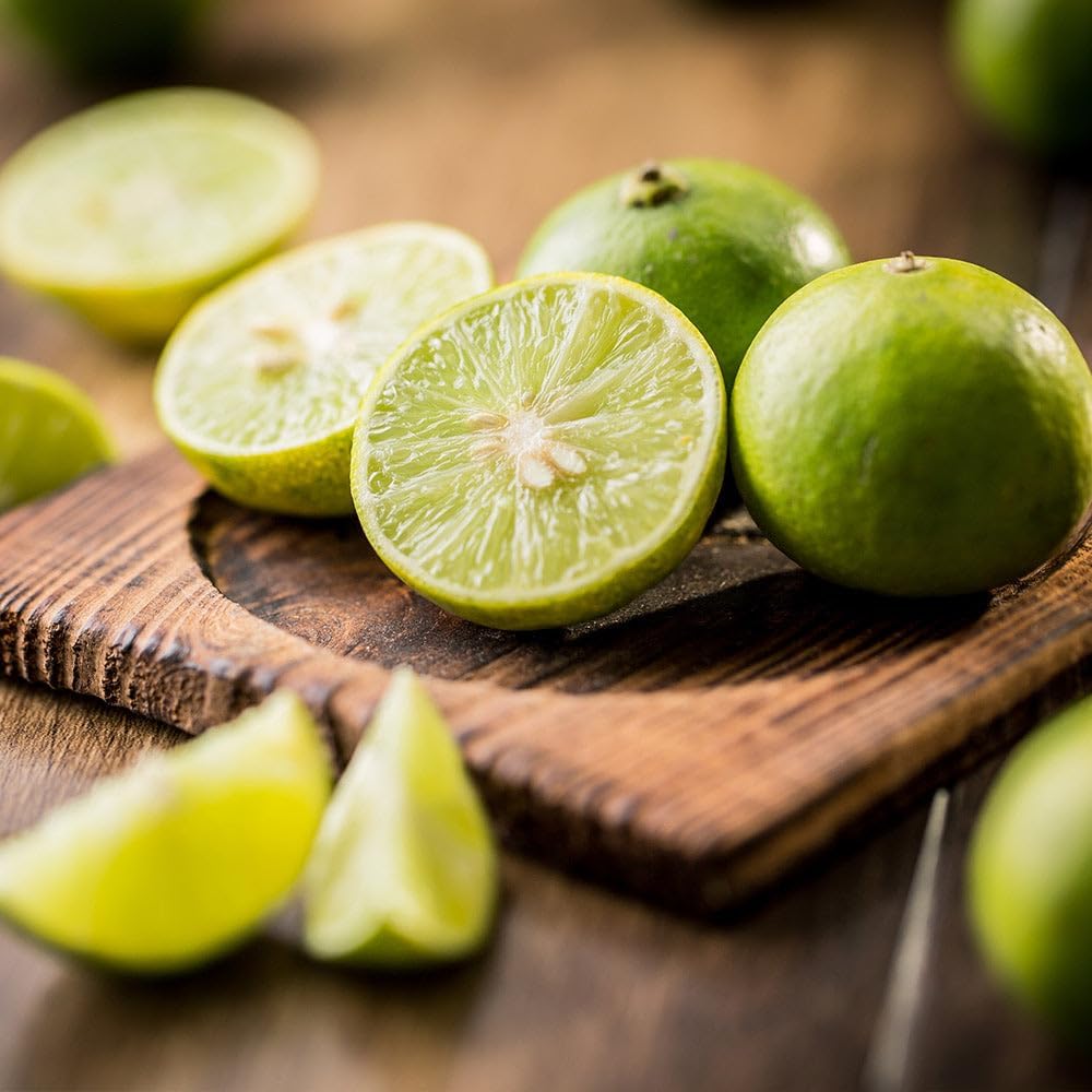 Brighter Blooms - Key Lime Tree, 3-4 ft. - No Shipping to AL, AZ, CA, FL, GA, LA, MS, OR, TX