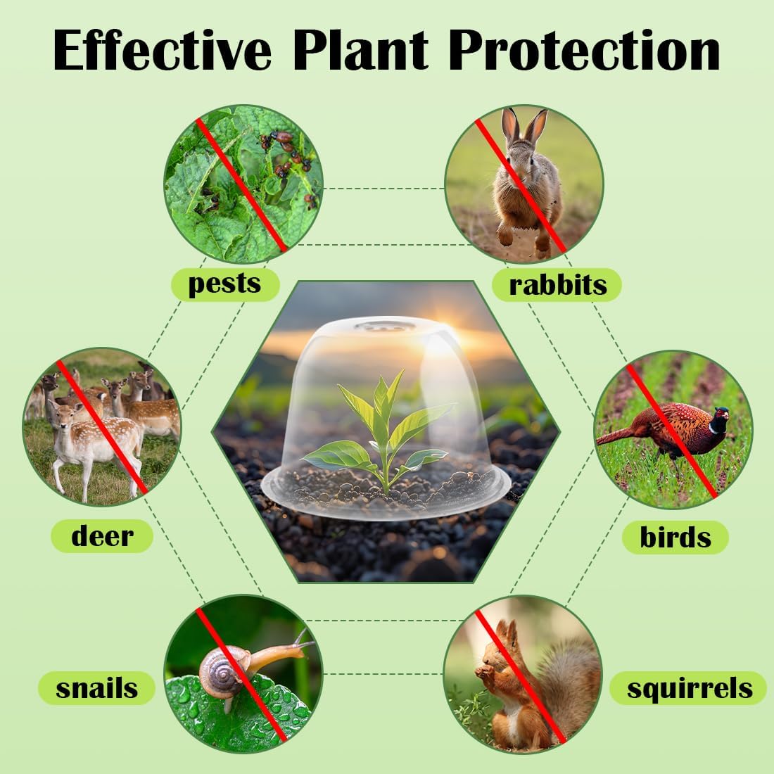Plant Protectors from Animals 5-Pack, 10" D × 6.7" H Garden Cloches for Seedlings Nursery Pots, Clear Plant Covers, Mini Greenhouse for Plants, Durable Humidity Domes with Ventilation Holes