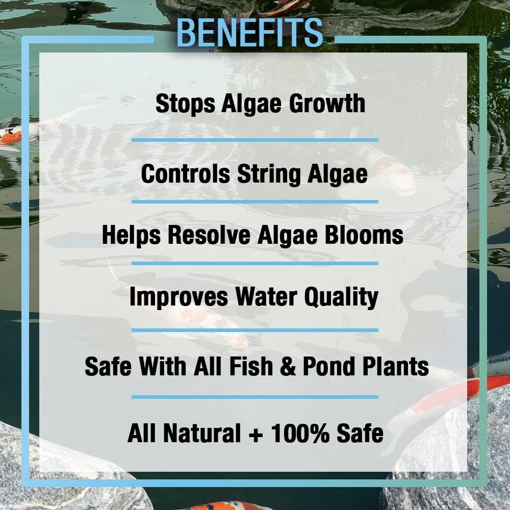 MICROBE-LIFT ALGAGAL Algaway 5.4 Algae Control Treatment for Ponds and Water Gardens, Safe for Koi Fish, Goldfish, Plants, and Decorations, 1 Gallon