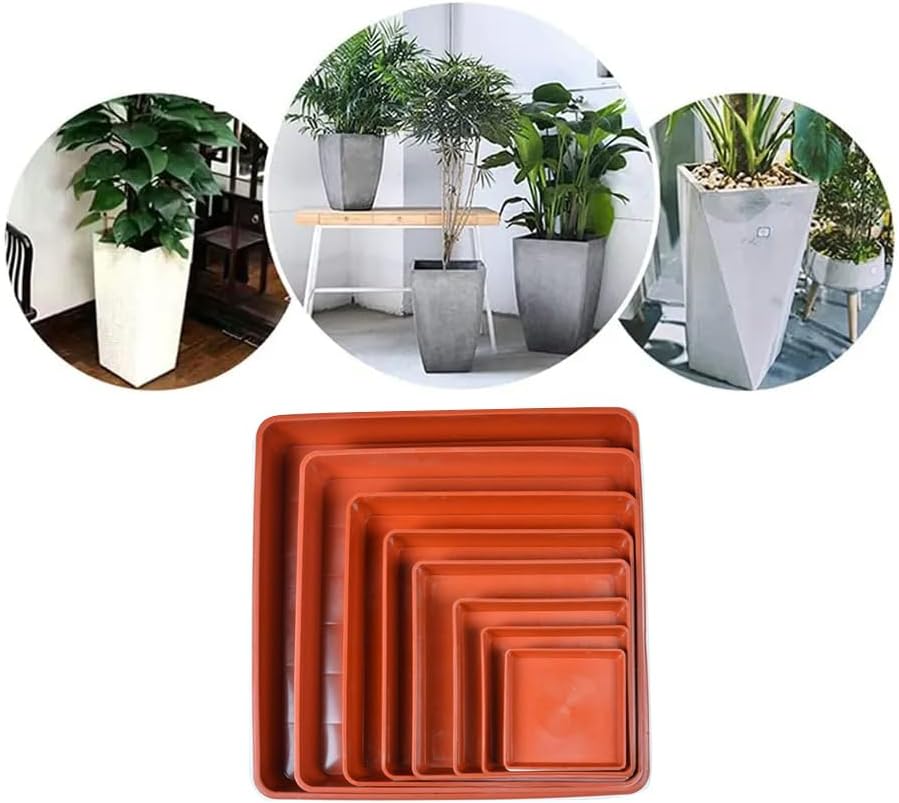 5 Pack Square Plant Saucer 12 Inch, Saucer for Plant Pots, Plastic Plant Water Dray Tray, Flower Pot Saucers, Square Planters for Indoors and Outdoors Plants.
