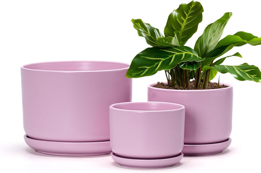 Ton Sin Plant Pots, 4.1+5.1+6.5 inch, Set of 3, Ceramic Planters with Drainage Hole and Saucer, Indoor Flower Pot with Hole Mesh Pad, Gifts for Mom(Matte Pink)