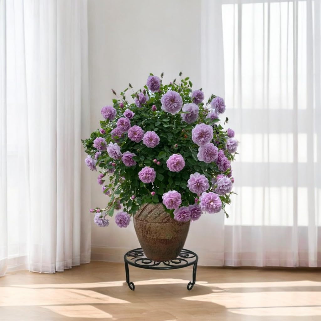 2 Pack 13'' Diameter Metal Plant Stand for Large Plant/Flower Pot Heavy Duty Potted Holder Indoor Outdoor Rustproof Iron Display Stand,Black