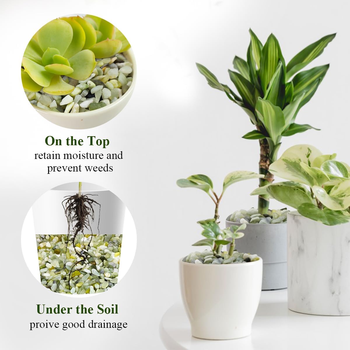 Jade Pebbles for Indoor Plants,1/4 Inch (3-6 MM) Polished Green Pea Gravel Small Rocks for Plants, Succulents, Cactus, Vases, Terrarium