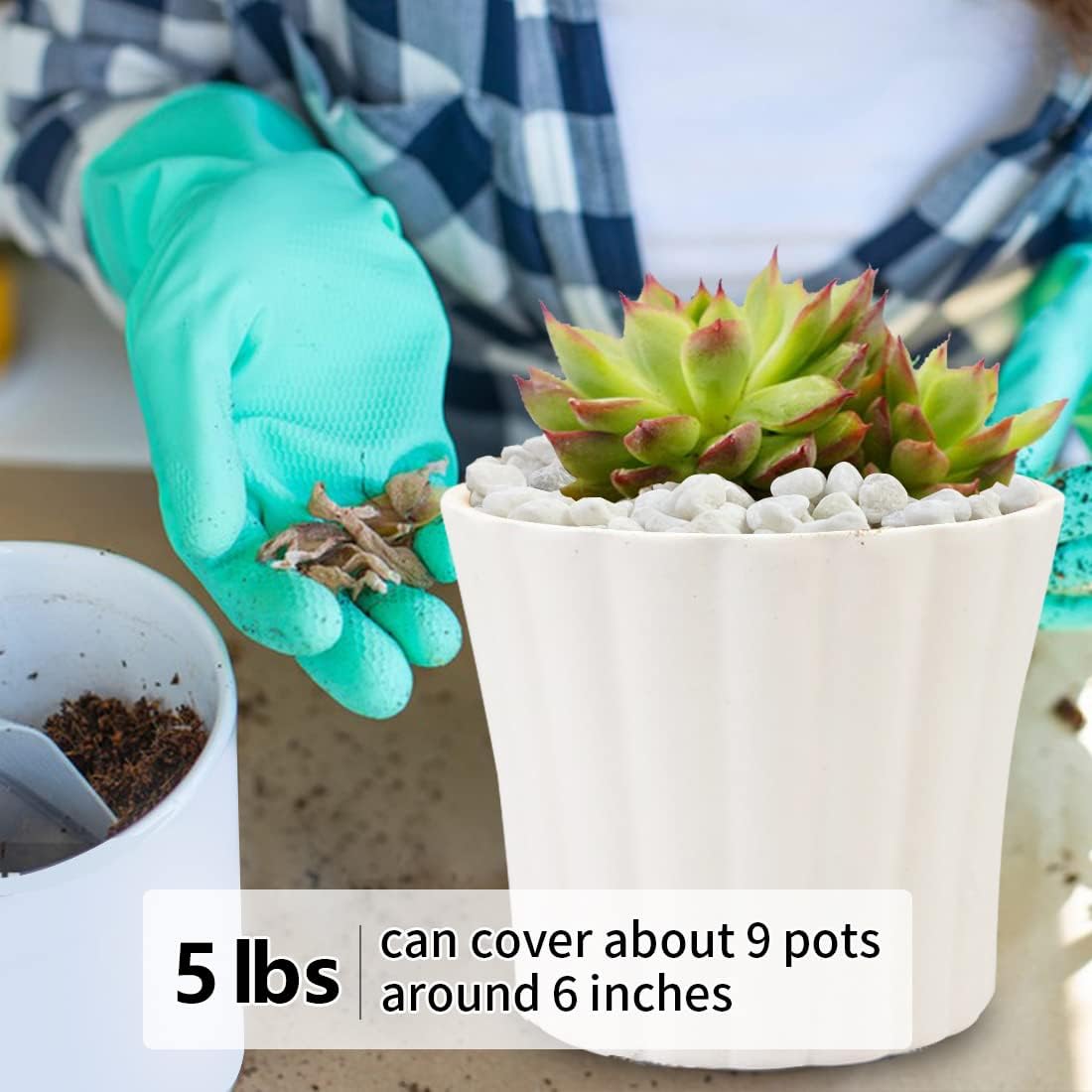 5LB Succulent and Cactus Gravel Pebbles, 1/5 Inch White Natural Decorative Polished Stones, River Rocks for Plants, Vases, Aquariums, Terrarium and Outdoor Gardening