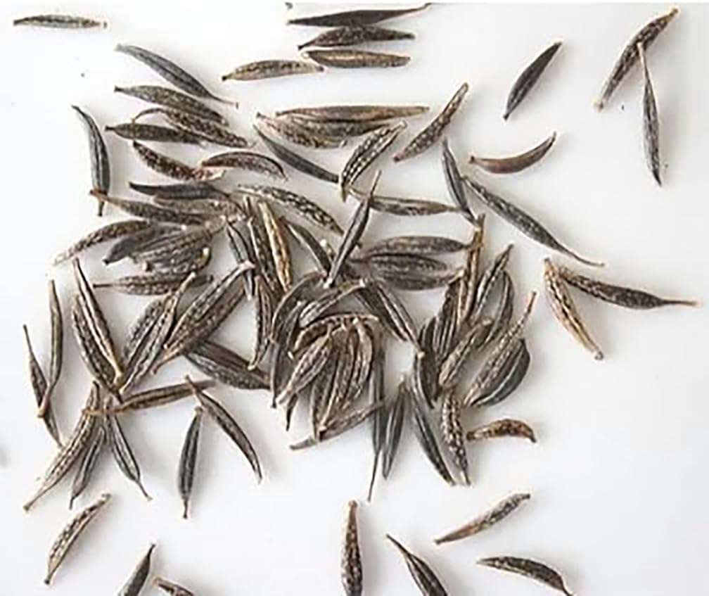 Red Crest Cosmos - Long Blooming Season