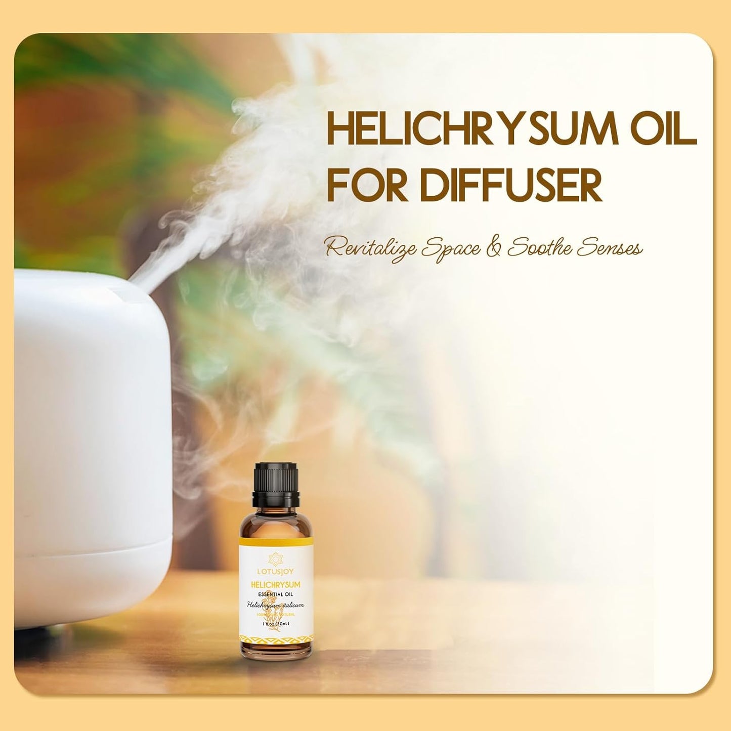 Helichrysum Essential Oil 1 Oz – 100% Pure & Natural – Helichrysum Oil for Bruising, Skin, Aromatherapy, Massage & DIY Use