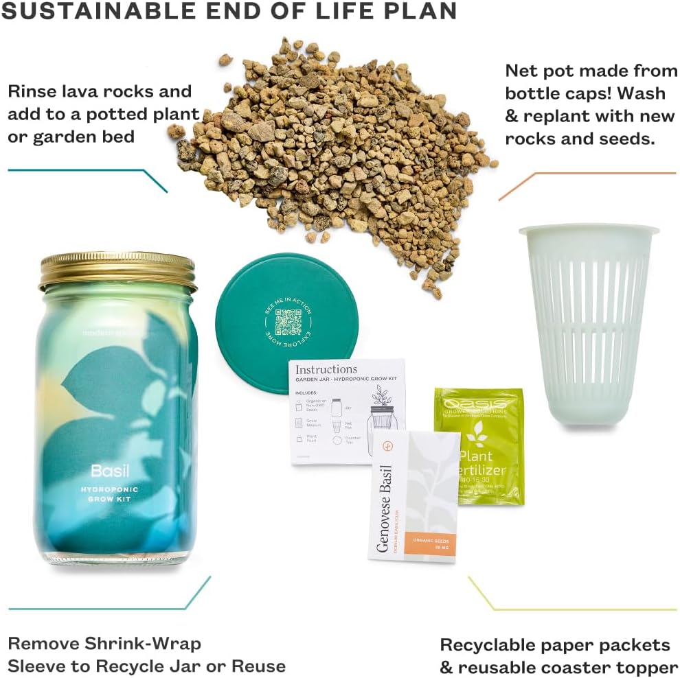 Modern Sprout Mason Garden Jar - Self-Watering Hydroponics Growing System Kit with Organic Herb Seeds - Jar Planter for Indoor Herb Garden - Seed Starter Kit - Home Decor & Gifting - Basil+Cilantro