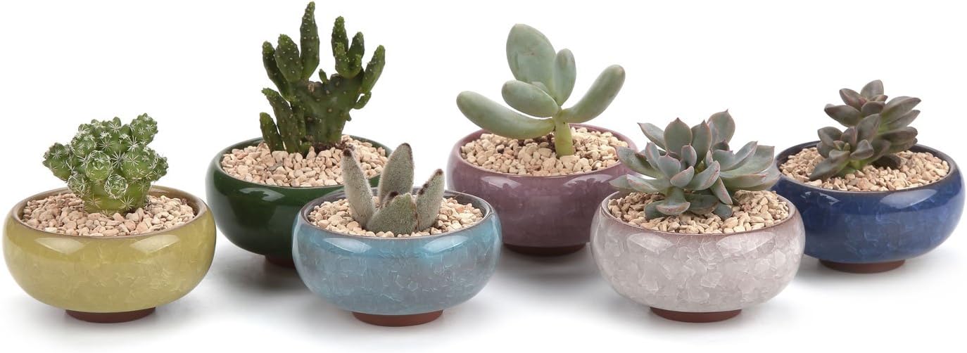 T4U 2.5 Inch Small Ceramic Succulent Planter Pot with Drainage Hole Set of 6, Ice Crack Glaze Plant Container for Cactus, Gardening Plant Gifts for Women Mom Aunt Home Office Decor