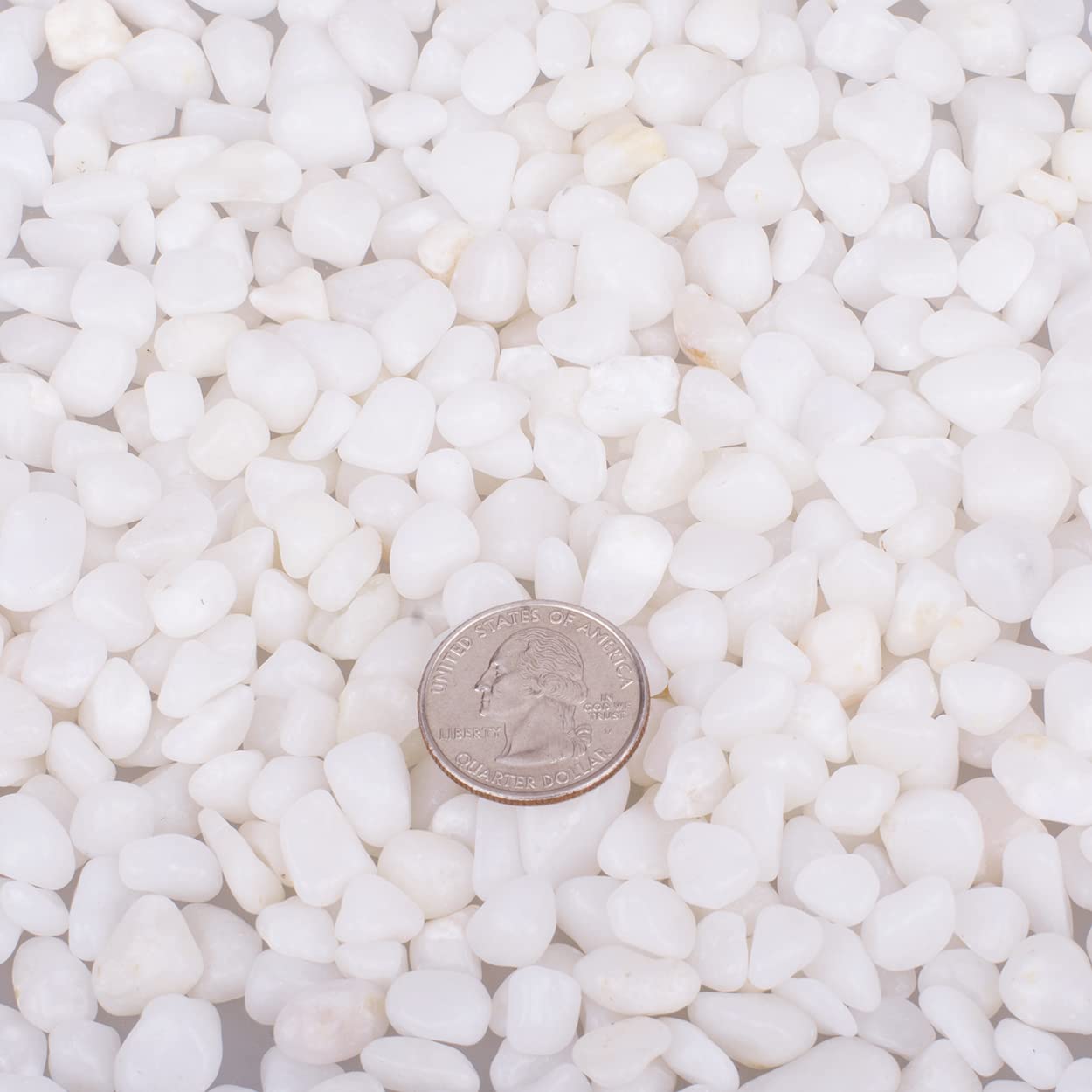 HOT SEAL 6.0 LB White Polished Pebbles 3/8", Natural Decorative Smooth River Rocks, Gravel Size White Small Pebble Stone for Succulent, Bonsai, Potted Plants, Landscaping, Fairy Garden, Aquarium