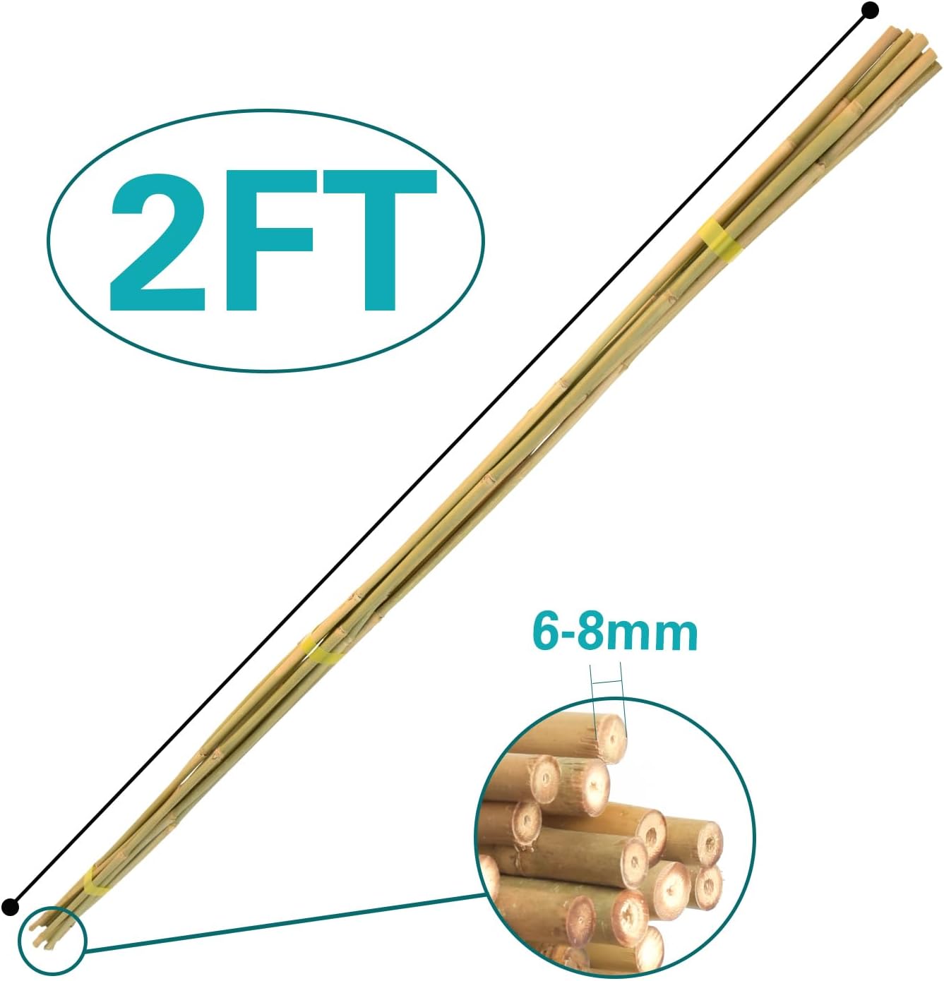 Bamboo Stakes 2FT 35pcs, 24 inch Garden Stakes Multi-Purpose, Bamboo Plant Support Stakes for Beans, Peppers, Flowers, Potted, Maintain The Plant Posture, Strengthen and Stem