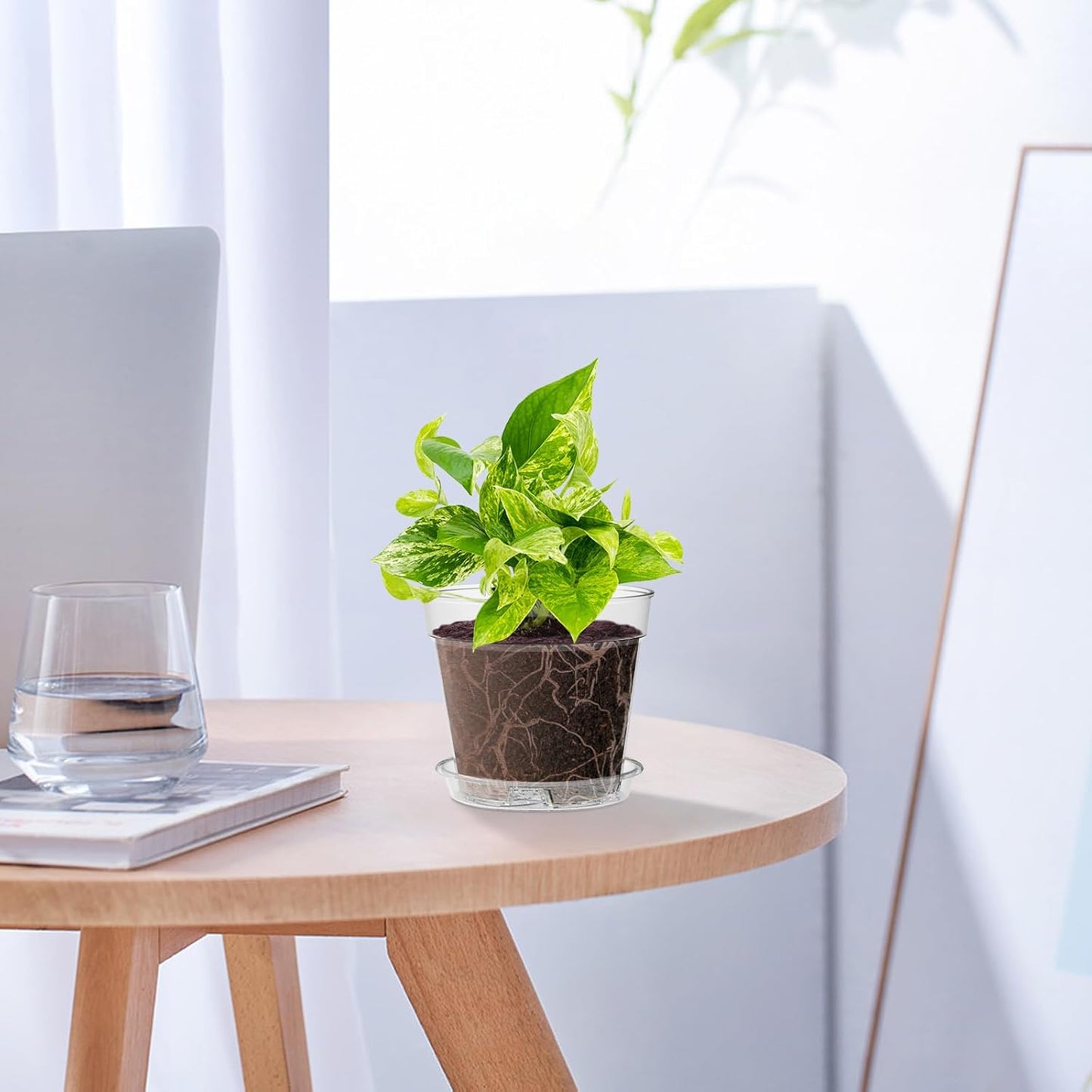 4 Inch Clear Nursery Pots, Set of 30 Transparent Plant Flower Pots for Small Indoor Plants with Drainage Holes & Trays, Plastic Seedling Starter Pots for Various Plants