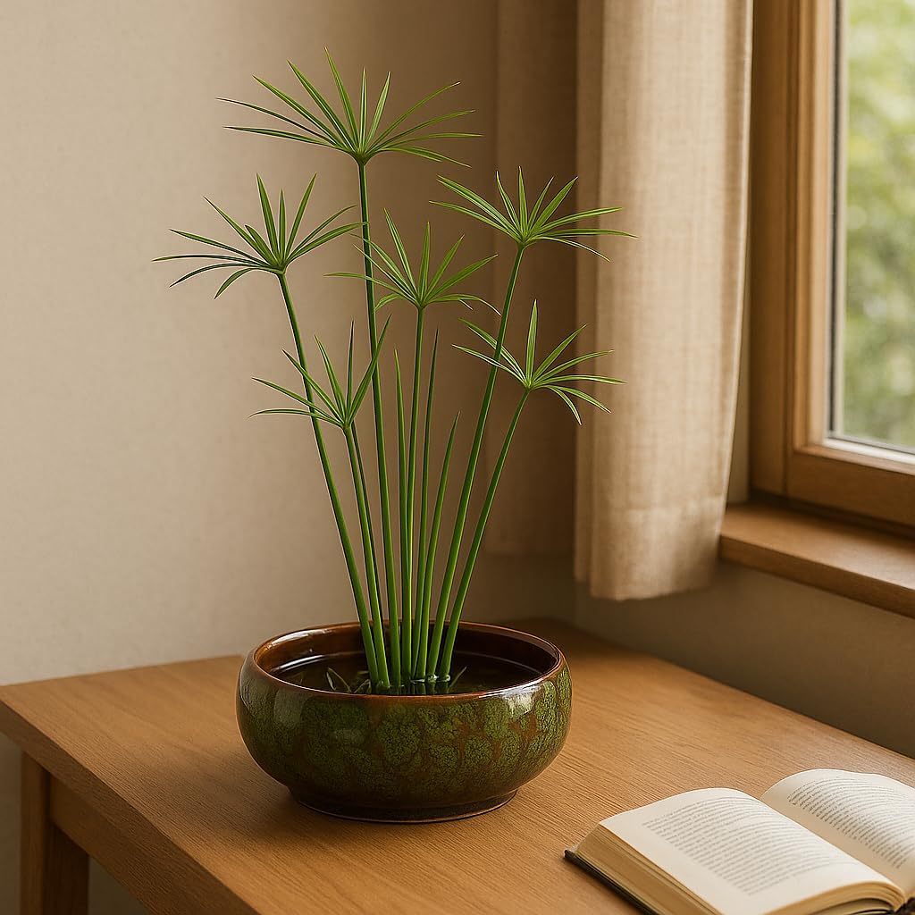 Lotus Bowl Planter, Lotus Bowls for Planting in Water Indoors,6.5-inch Round Succulent Flower Pot with Rotating Bracket, Leak-Proof Design, Suitable for hydroponic Plants, Succulents (Green)