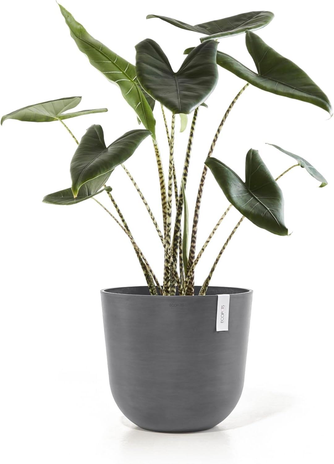 Ecopots Oslo Durable Modern Round Indoor/Outdoor Recycled-Based Composite Flower Pot Planter, Grey, 17.75"