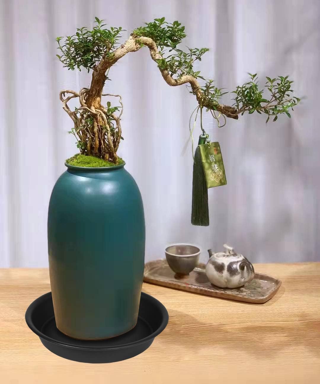 6 Pack of 8 inch Plant Saucer, Heavy Duty Plastic Plant Water Tray, Pebble Tray, Flower Saucers for Indoors, Pot Saucers, Bird Bath Bowls, Plant Dishes for Planter 7"/8" (8", Black)