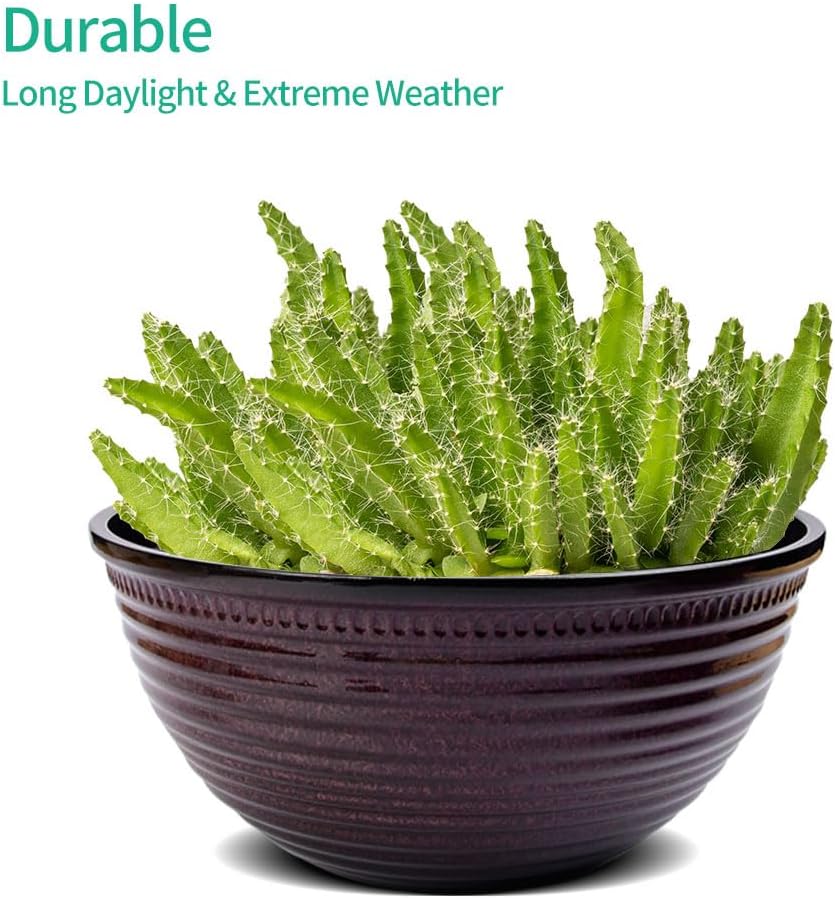 2 Pack 10 Inch Plant Pots,Durable Decorative Flower Pots Planters with Drainage Hole for Indoor and Outdoor Plants,Flowers,Succulents, Purple