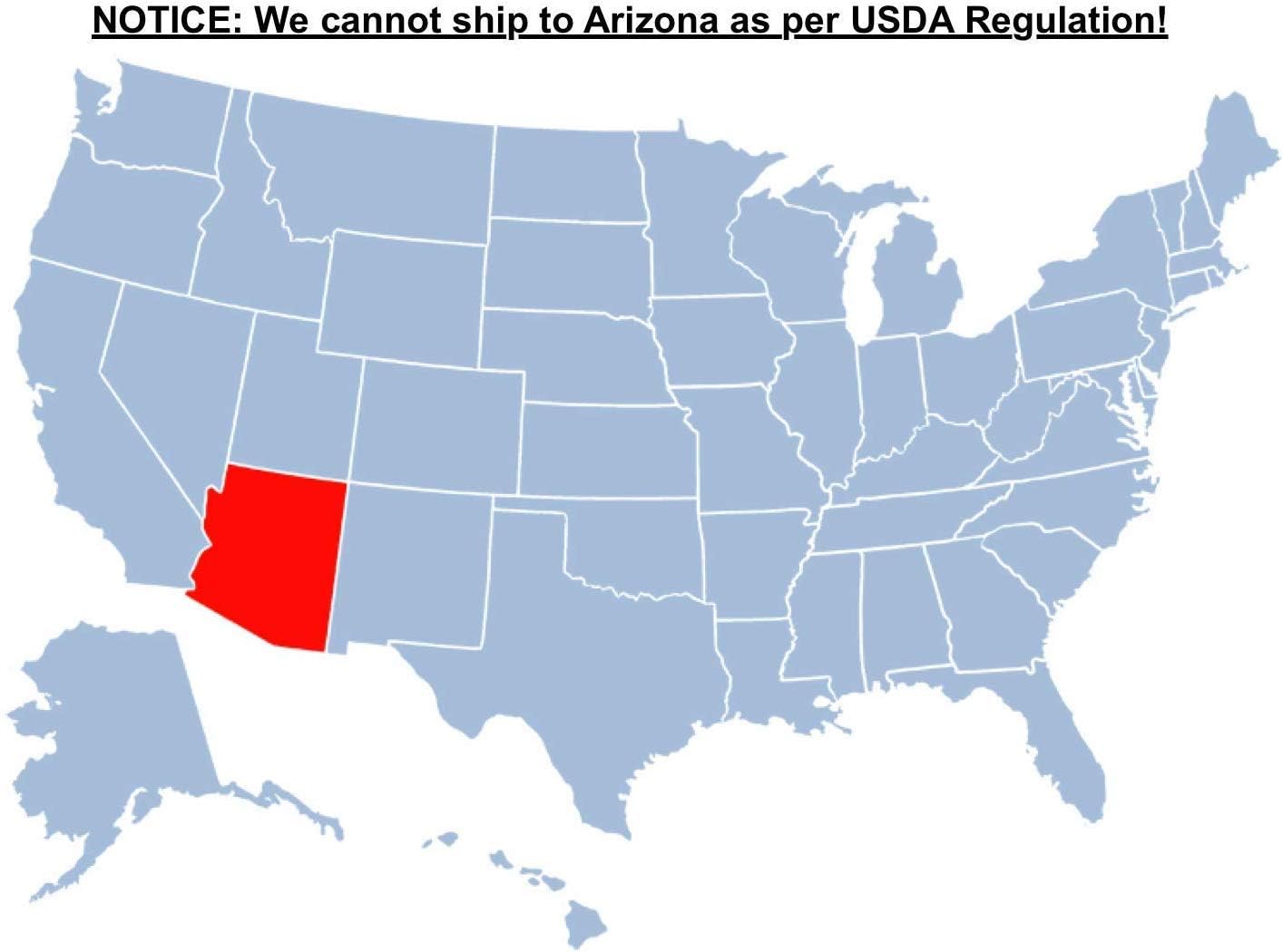 Brighter Blooms - Thuja Green Giant, 3-4 Feet - Live Plant - No Shipping to AK, AZ, HI, OR