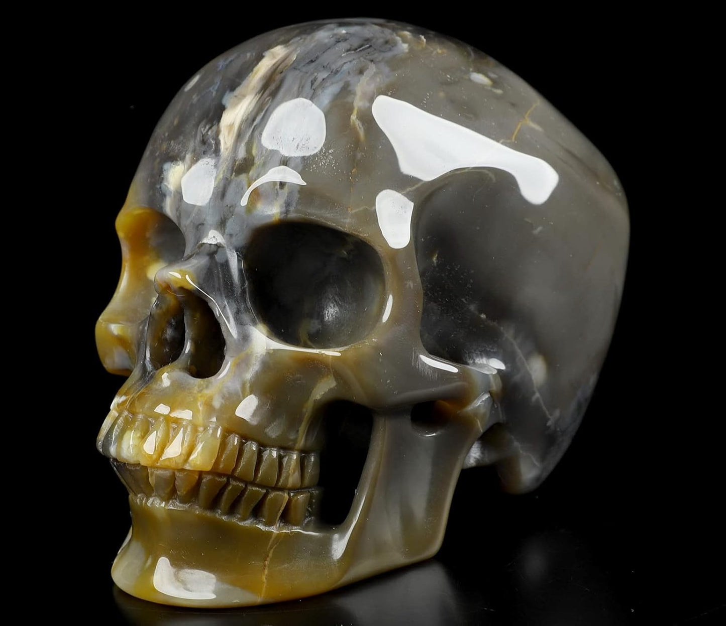 Skullis 5.0" African Petrified Wood Super Realistic Crystal Carved Crystal Skull. Hand Carved Gemstone Fine Art Sculpture.2261 Z8