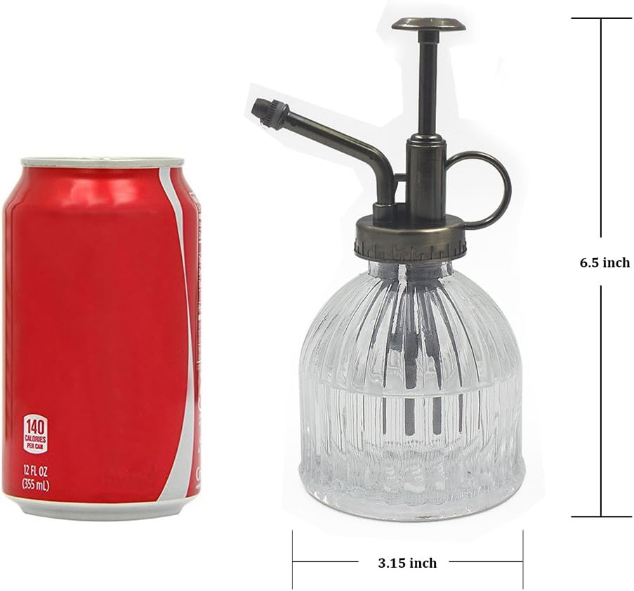 Glass Plant Mister Water Spray Bottle, 200 ML Glass Plant Spritzer Mister Bottle, Vintage Style Glass Succulent Watering Bottle with Top Pump, Plant Sprayer Mister for Indoor Plants - Clear