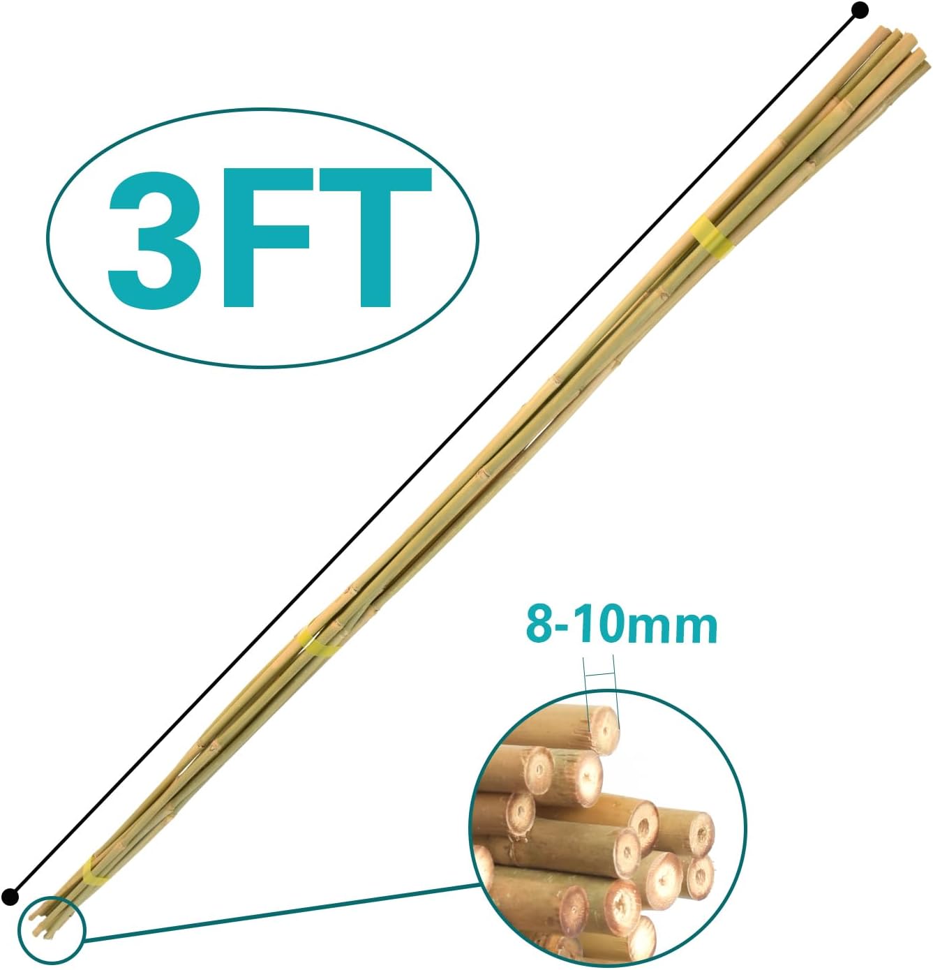 Bamboo Stakes 3 FT 30pcs, 36 inch Garden Stakes Multi-Purpose, Bamboo Plant Support Stakes for Tomatoes, Beans, Peppers, Flowers, Potted, Maintain The Plant Posture, Strengthen and Stem