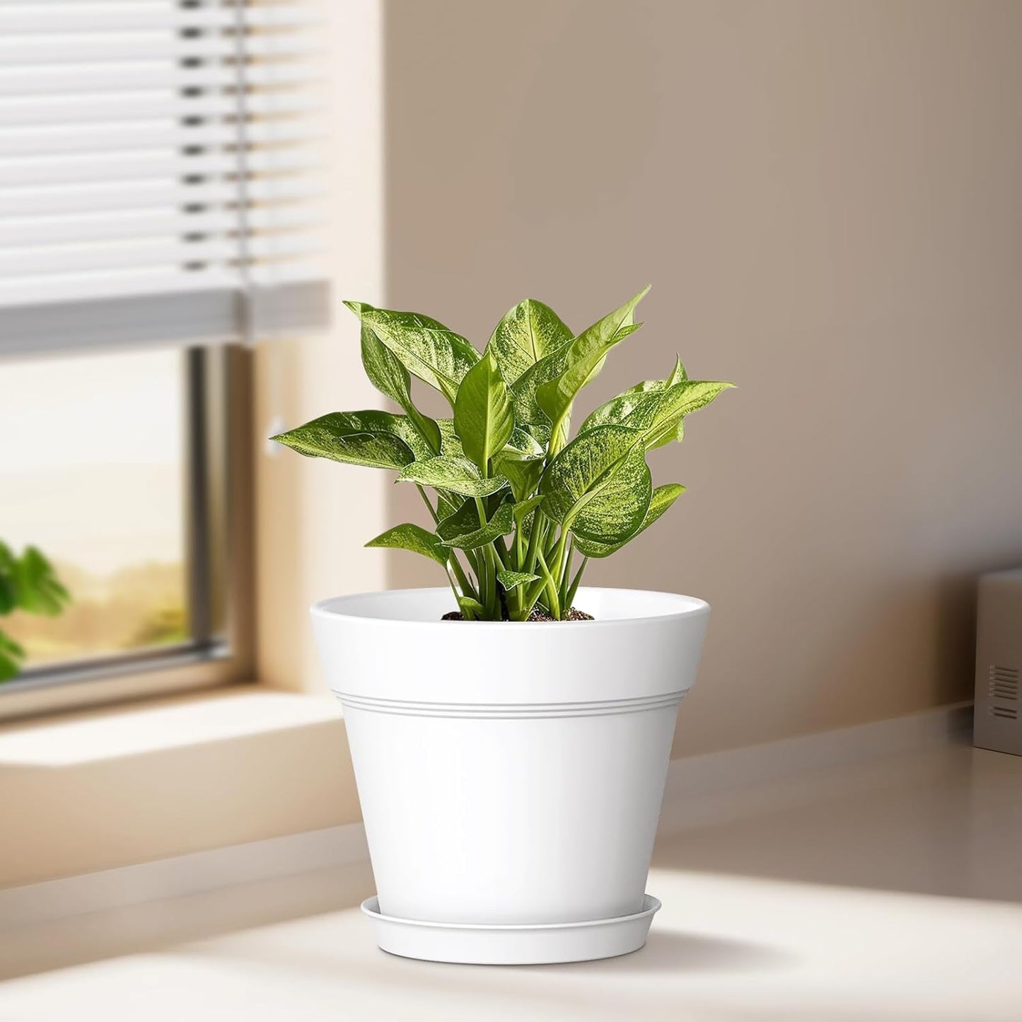 5 Inch Plastic Plant Pots with Drainage Holes and Trays – 6 Pack Small Nursery Pots for Indoor & Outdoor House Plants and Flowers, Seedling Starter Planters, White