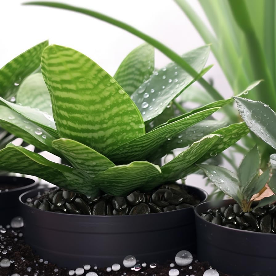 Stonecreek 24 LBS River Rocks (2 x 12 LBS Bags) – Natural Polished Decorative Pebbles, Garden Landscaping Stones for Planters, Vase Fillers, Succulent Pots, Fish Tanks & Terrariums, Black Medium